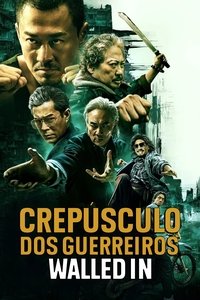 Poster 9