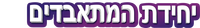 Logo 31
