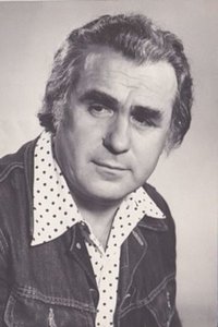 Profile of Viktor Sokolov