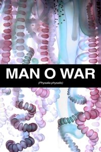 Man O War