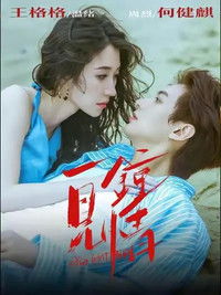 Poster for Love at First Sight