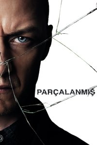Poster 81