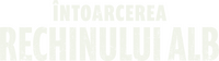 Logo 12
