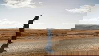Backdrop 26
