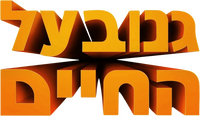Logo 30
