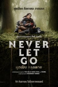 Poster 34