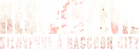 Logo 15