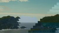 Backdrop 5