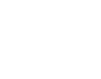 Logo 9
