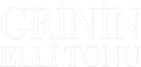 Logo 7