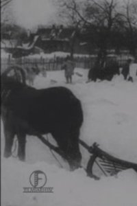 The Great Blizzard in the Baltics in December
