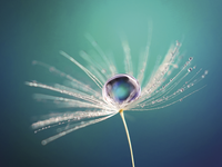 Changeable's profile image