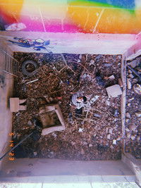 Poster for Summer hopes