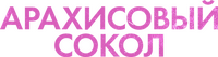 Logo 13