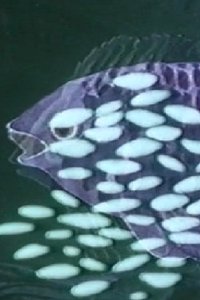 Poster for Hidden Spring