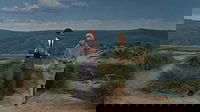 Backdrop 9