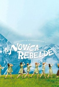 Poster 77