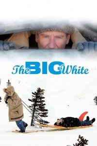 Poster 6