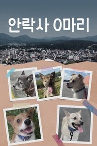 Poster for 안락사 0마리