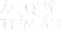 Logo 25
