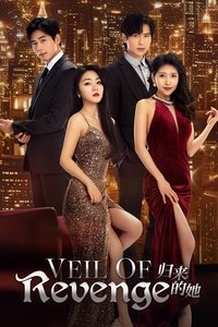 Poster for Veil of Revenge