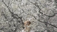 Backdrop 0
