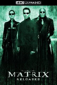 Poster 176