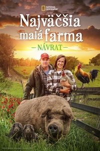 Poster 23