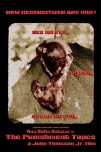 Poster for The Punishment Tapes