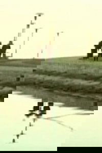 Widow’s Coast