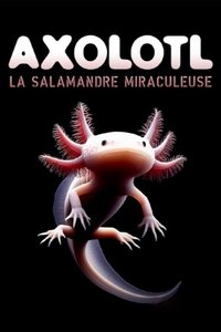 Poster for Axolotl, la salamandre miraculeuse