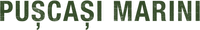 Logo 7