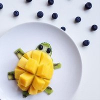 Mangoturtle's profile image