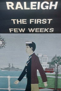 Poster for Raleigh: The First Few Weeks