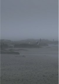 The Fog Has Covered The Moment Again