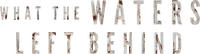 Logo 0