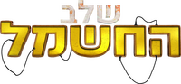 Logo 17