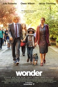 Poster 40