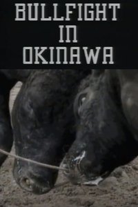 Bullfight in Okinawa