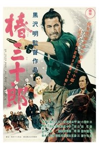 Poster 11