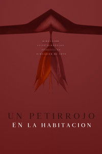 Poster for A robin in the room