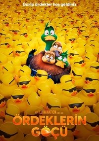Poster 43