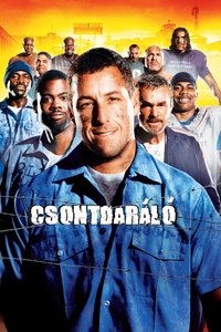 Poster 5