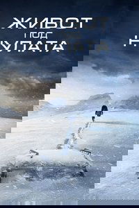 Poster 14