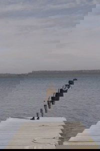 Poster for When the Children Left