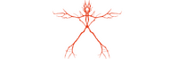 Logo 9