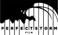 Logo - Perfect Storm Film