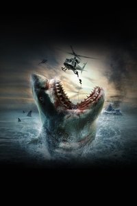 Poster 7