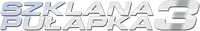 Logo 13