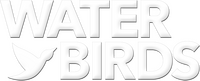Logo 0